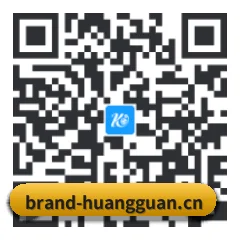 系统版 iOS 二维码